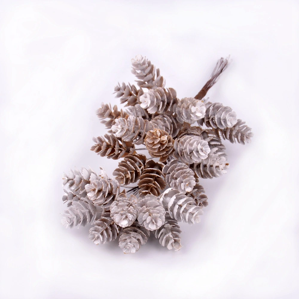 Artificial Pine Cones Pinecone Plant Preserved Egg Bouquet Decoration Decoration Micro Landscape Shooting Props