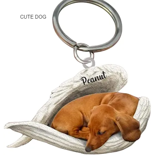 animal lovers keychain