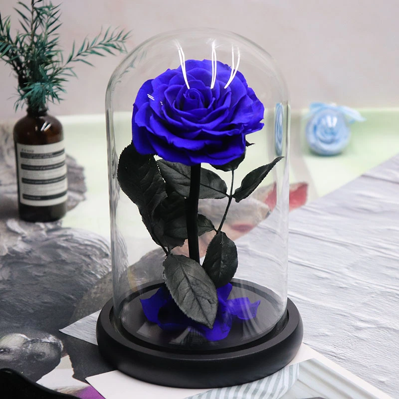 Glass Cover Tanabata Valentine's Day Immortal Rose Gift