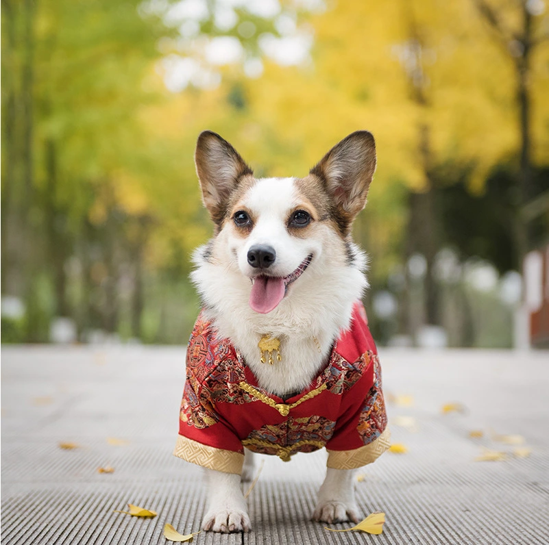 Dog Tang Dress Wedding Dress Celebrating The New Year