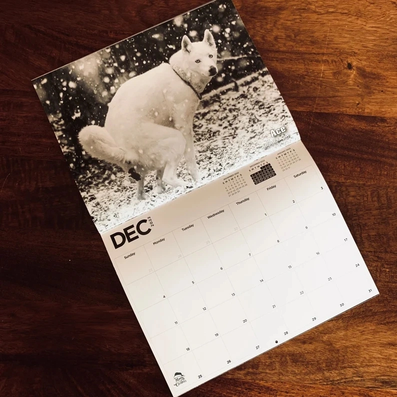 Dog Poop Calendar Animal Parody Desk Calendar