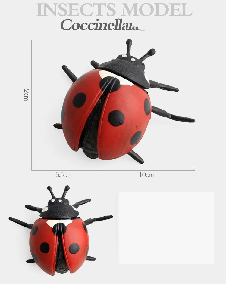 Simulation Insect Animal Ornaments Ladybug Beetle Scarab Science And Education Animal Model Gift Toy