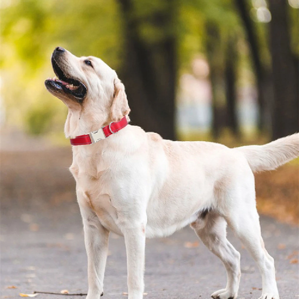 Nylon Reflective Silk Dog Collar