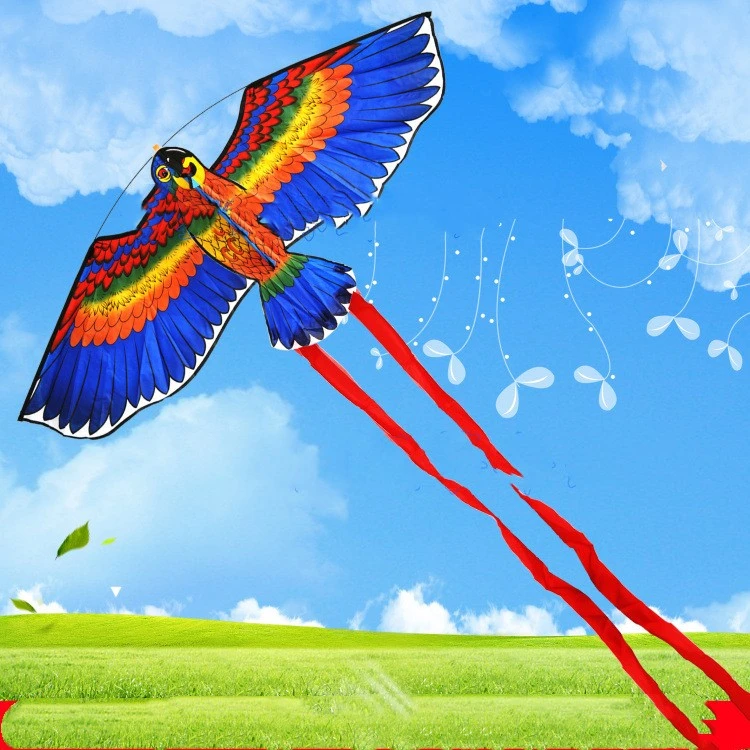 Triangle Kite Small Parrot With 50 M Line Board