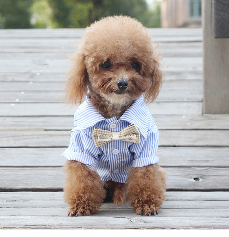 Thin Style Shirt Breathable Teddy Bichon Pomeranian Puppy Small And Medium-sized Dog Suit