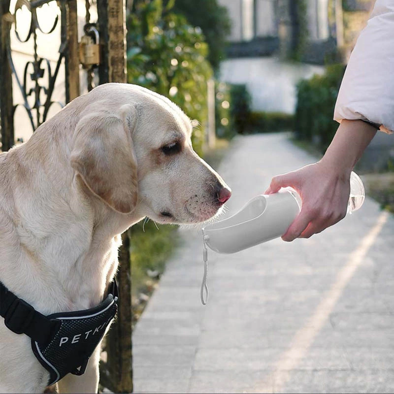 Pet Outdoor With Water Cups Out Walking The Dog Portable