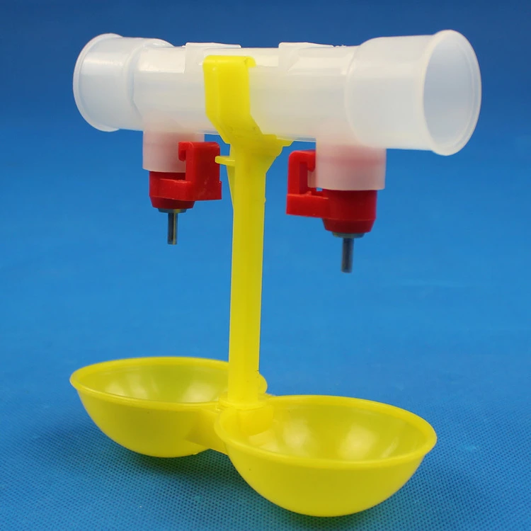 Double Bowl 6-point Card Integrated Chicken Water Cup