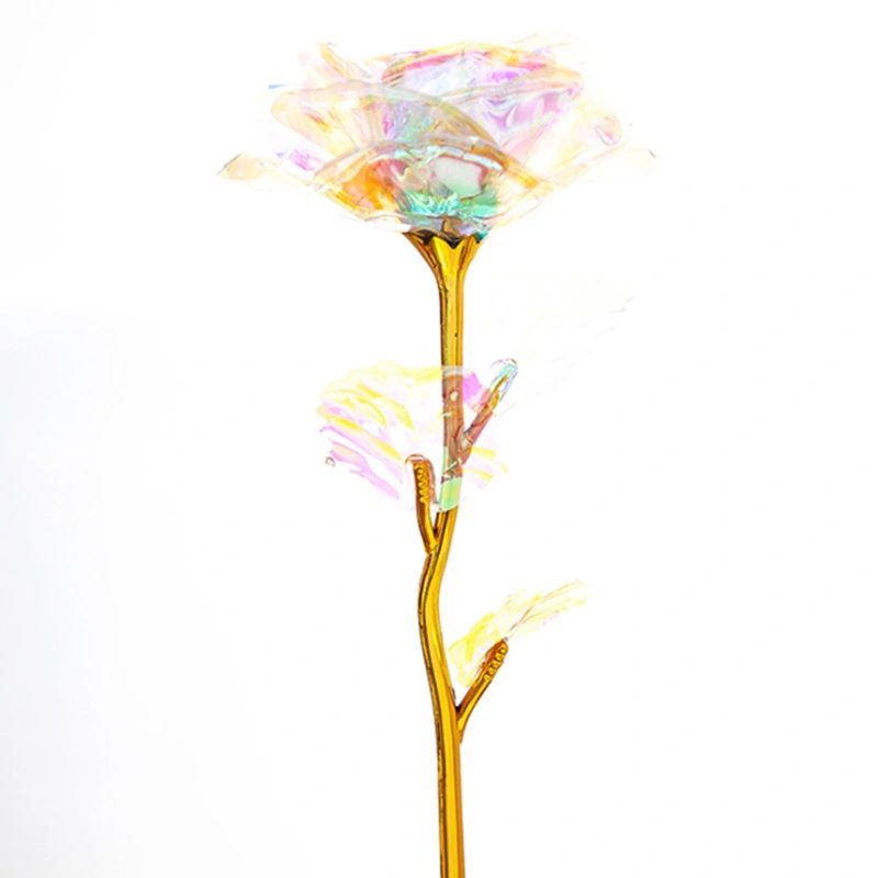 24K Gold Foil Gift Rose Multicolored