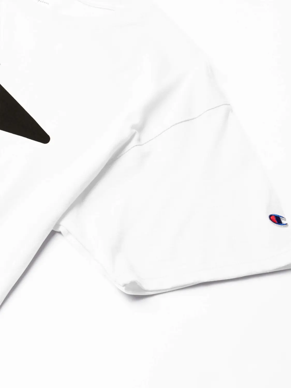 Champion Men'S Classic T-Shirt, Vintage Badge Script