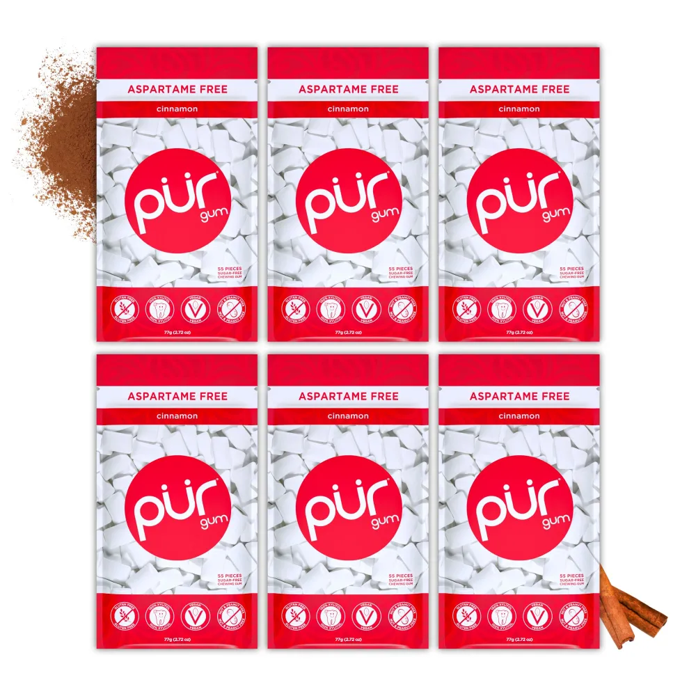 PUR Gum | Aspartame Free Chewing Gum | 100% Xylitol | Natural Cinnamon Flavored Gum, 55 Pieces (Pack of 6)