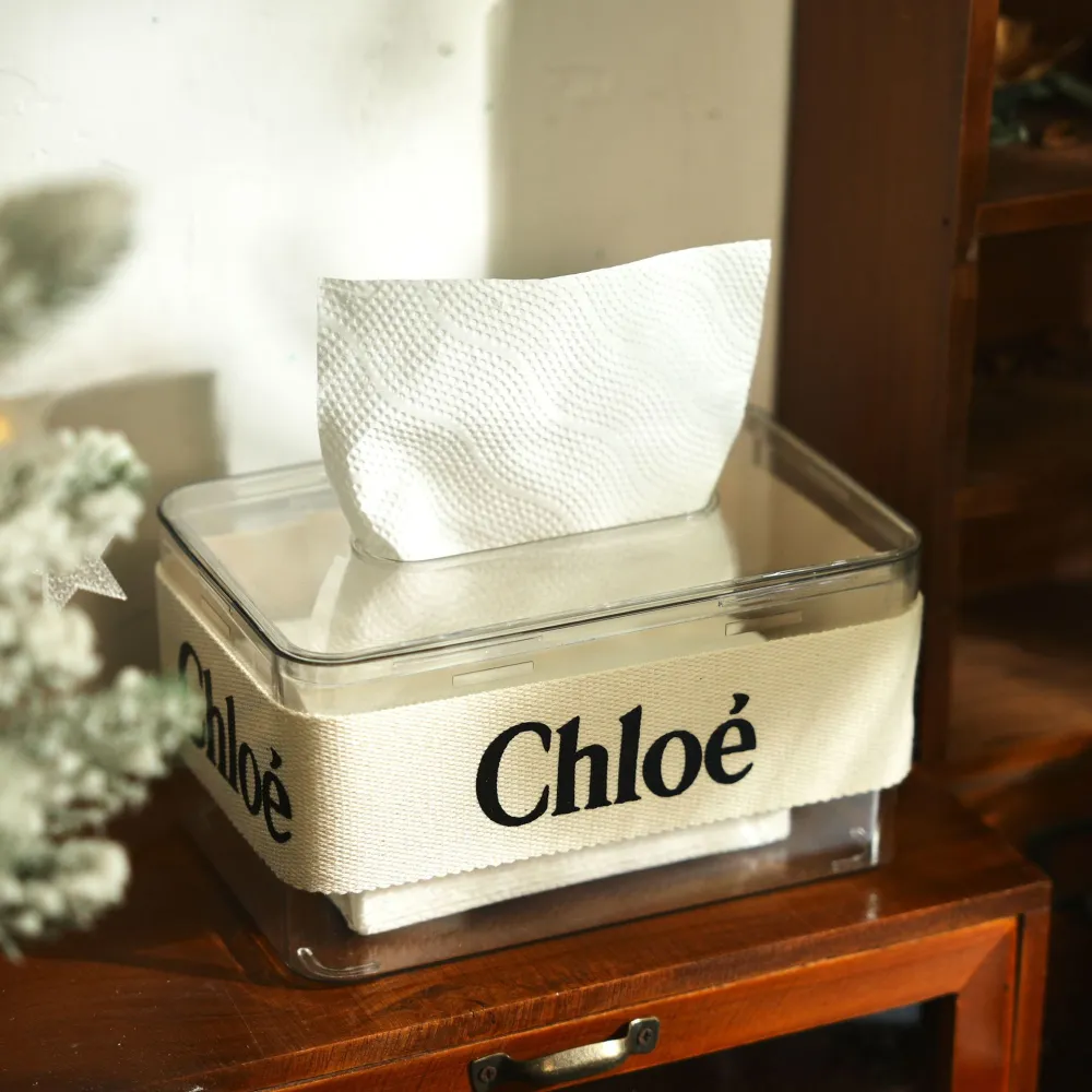 Desktop Tissue Ins Wind Household Storage Box