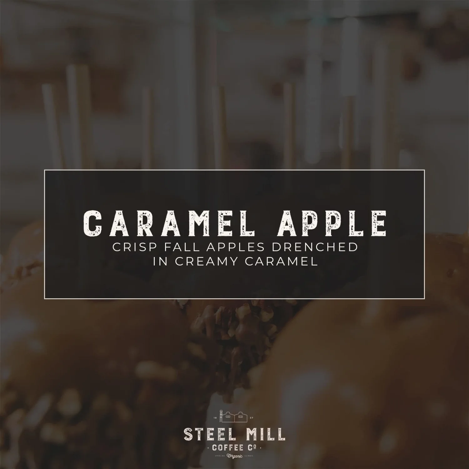 Steel Mill Coffee Co. Caramel Apple Flavored Coffee | 12 ounces/Drip Grind/Regular | ORIGIN: Grown in Colombia