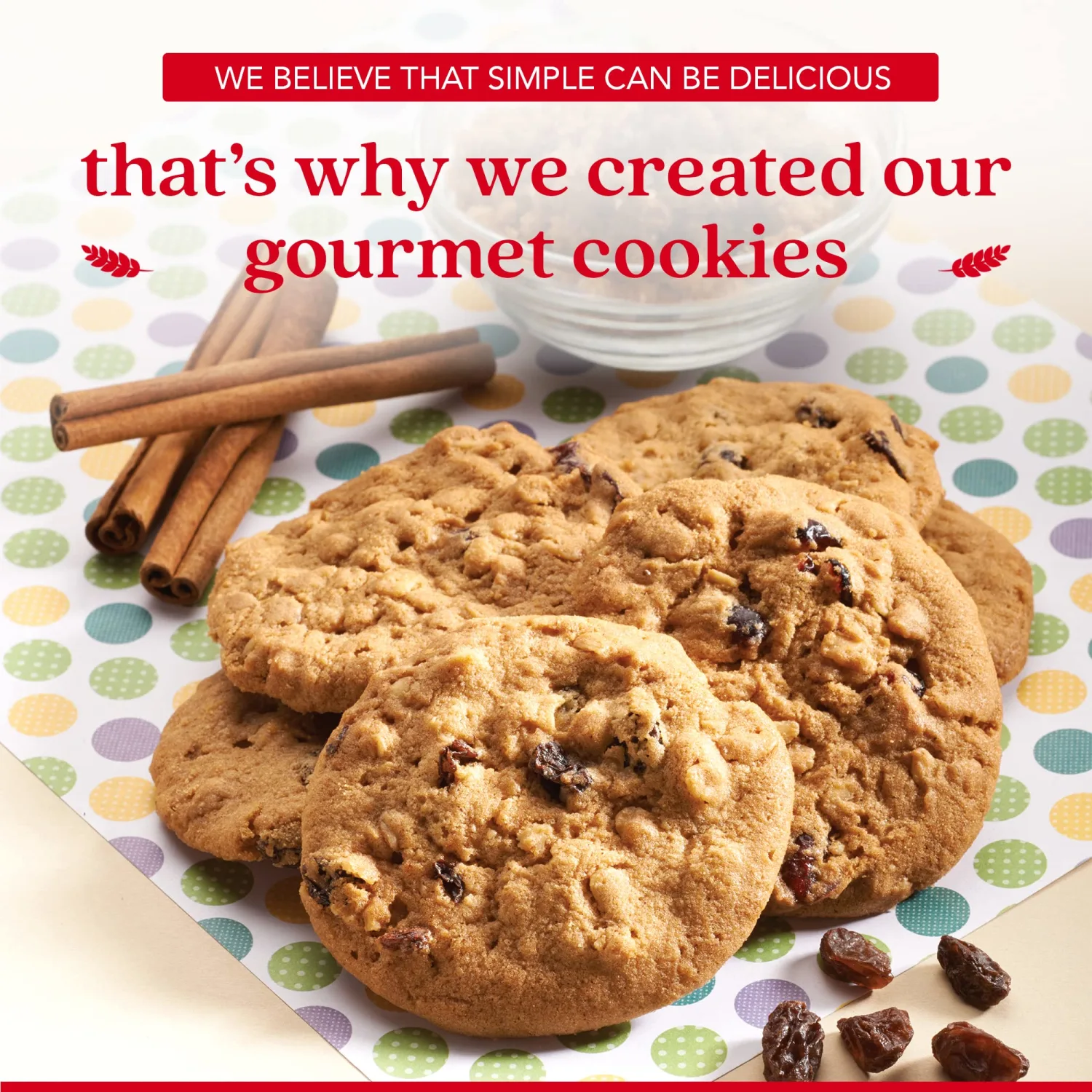 David's Cookies 2lbs Oatmeal Raisin Fresh Baked Cookies - Delectable & Premium Ingredients - No Added Preservatives Cookie Gift Basket