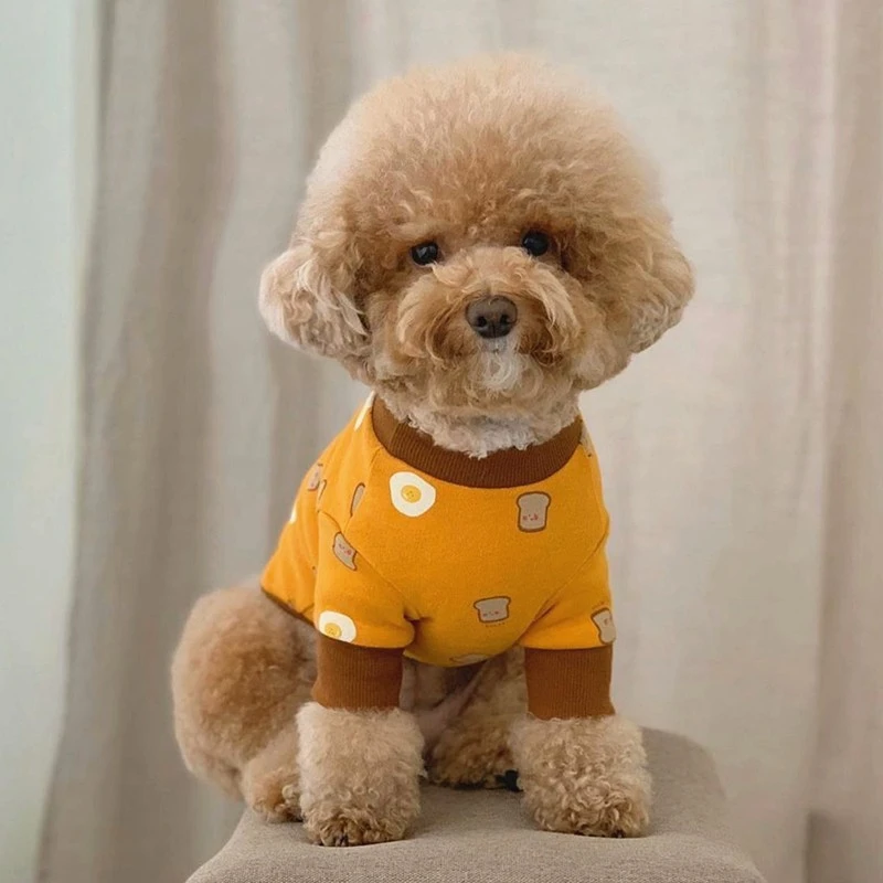 Pet Thin Toast Bottom Shirt