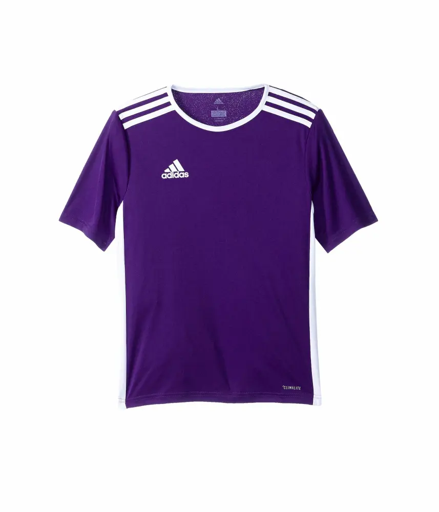 adidas Unisex-Child Entrada 18 Jersey