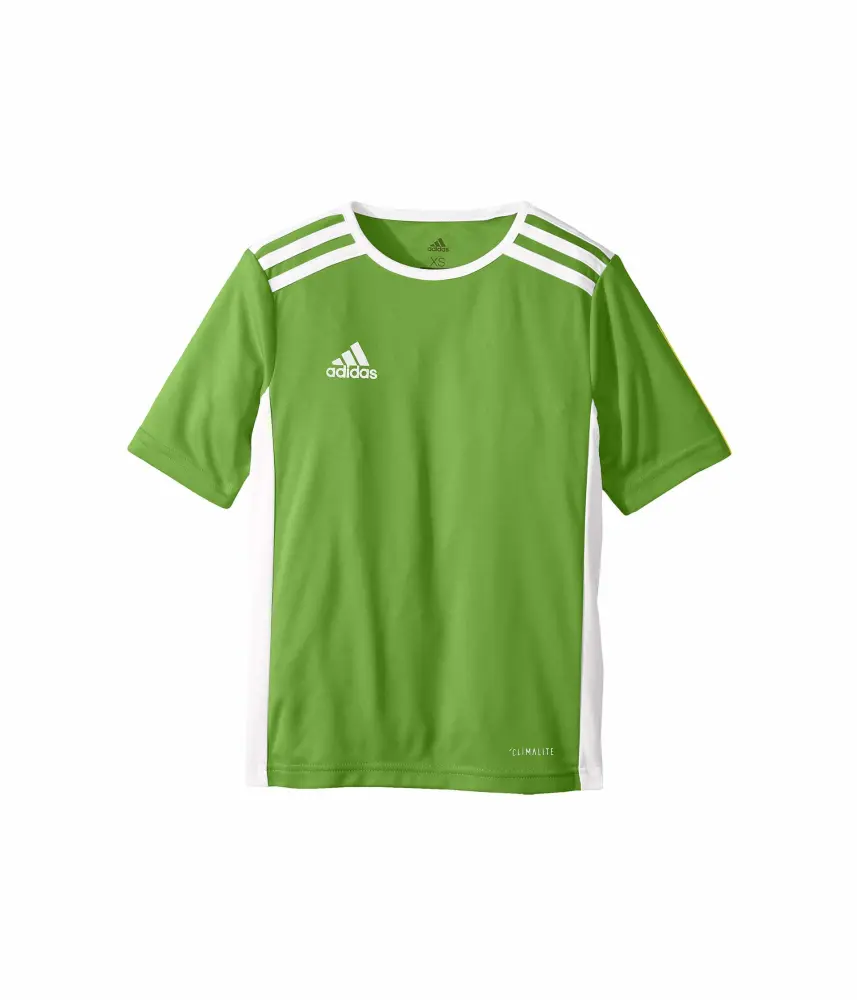 adidas Unisex-Child Entrada 18 Jersey