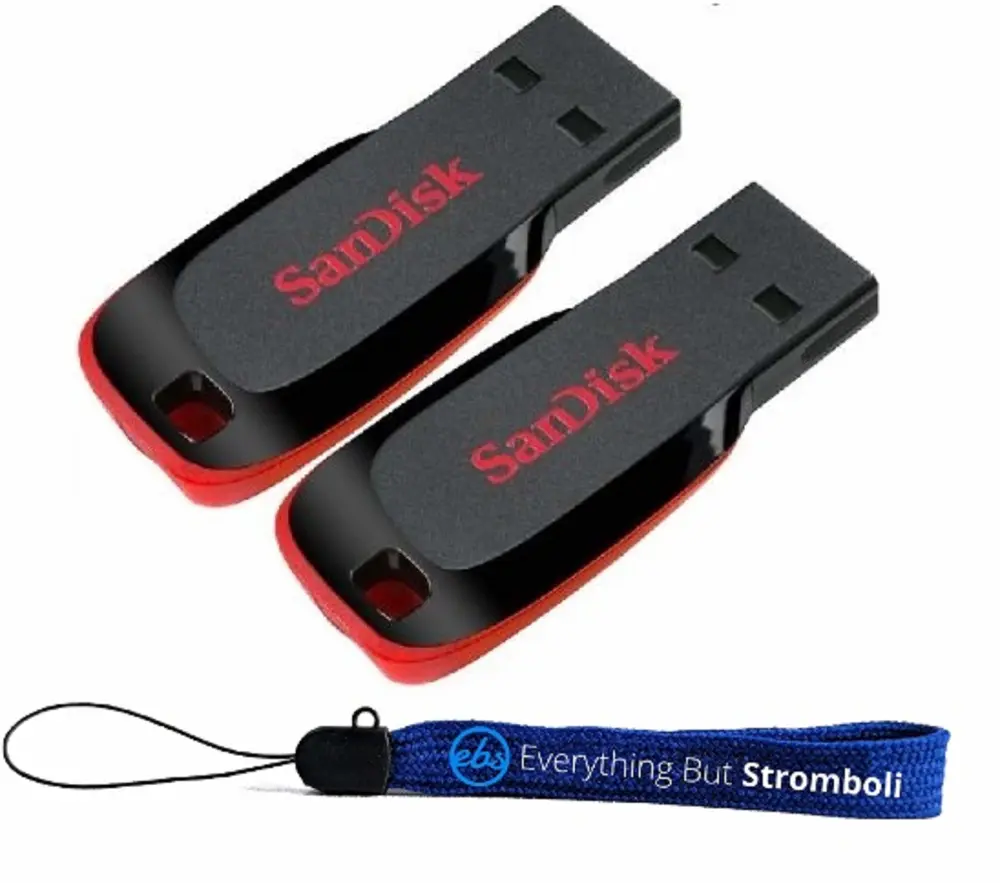 SanDisk Cruzer Blade 128GB (2 Pack) USB 2.0 Flash Drive Jump Drive Pen Drive SDCZ50-128G - w/ (1) Everything But Stromboli (tm) Lanyard