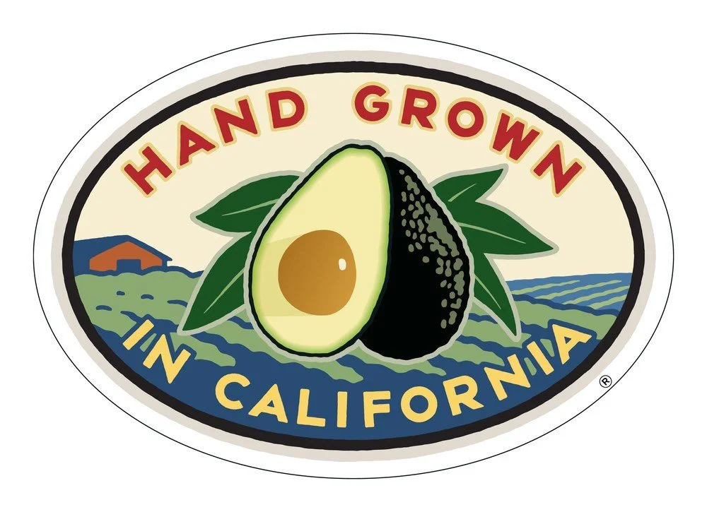 12 Pack Fresh California Hass Avocados (12 Pack)