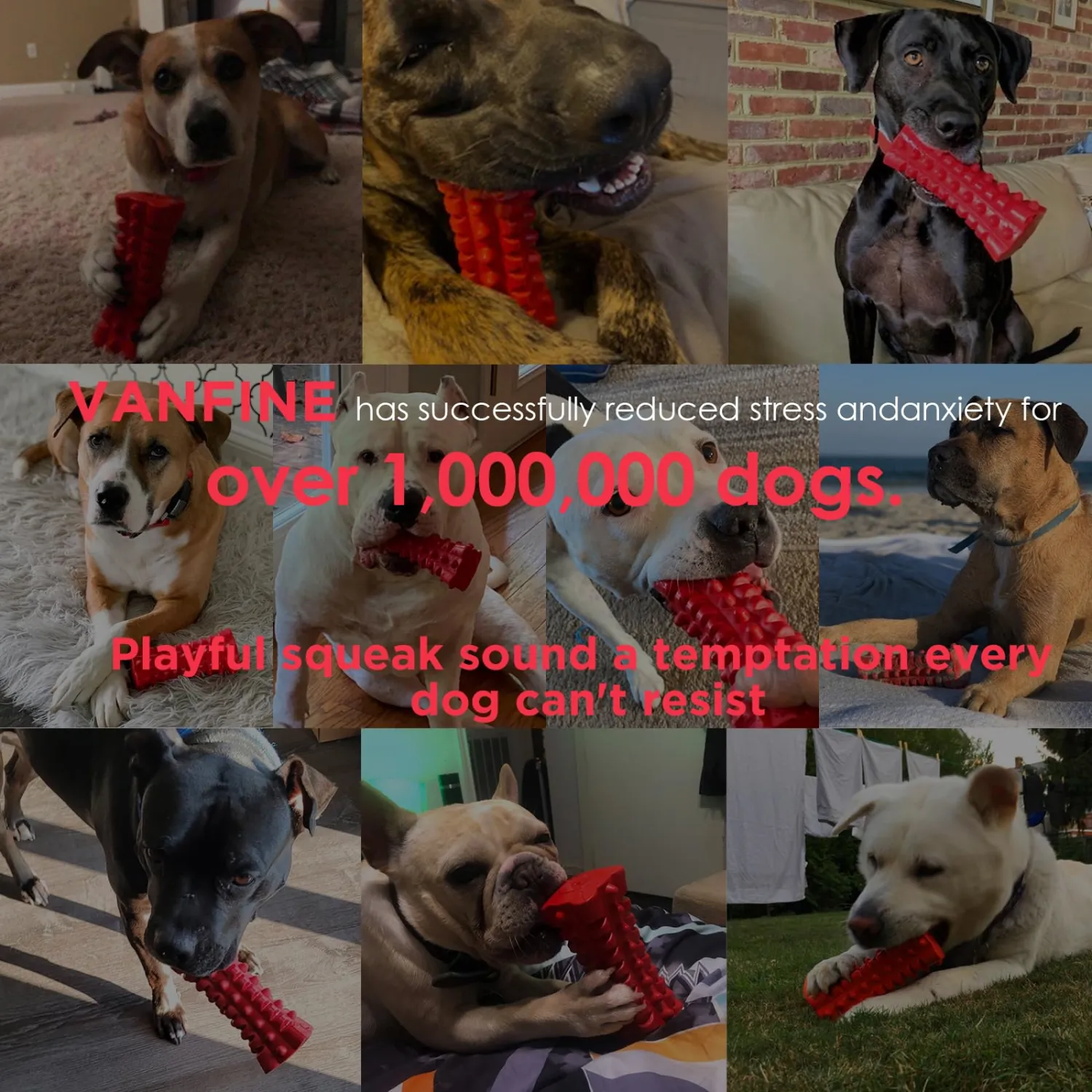 VANFINE Dog Toy, Squeaky, Indestructible, Tough, Durable Stick Chew Toy for Large Dogs, Puppies and Aggressive Chewers with Non-Toxic Natural Rubber (Medium/Large Dog, Cube Red)