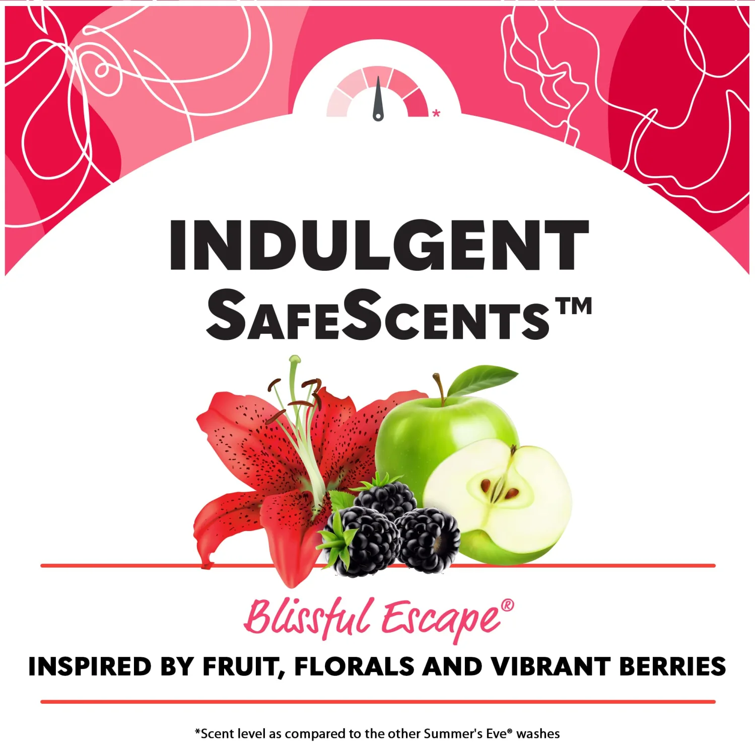 Summer's Eve Blissful Escape Daily Refreshing All Over Feminine Body Wash, Removes Odor, Feminine Wash pH Balanced, 15 fl oz