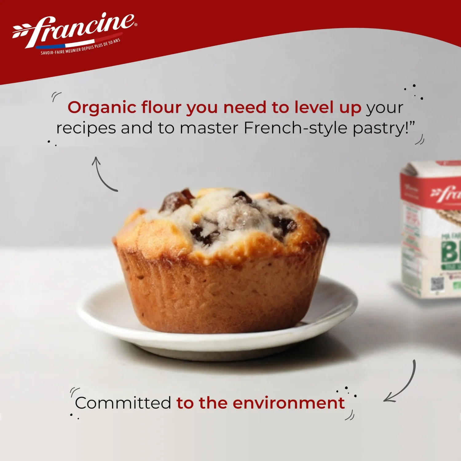 Francine Farine de Ble Bio - French All Purpose Organic Wheat Flour - 2.2 lbs