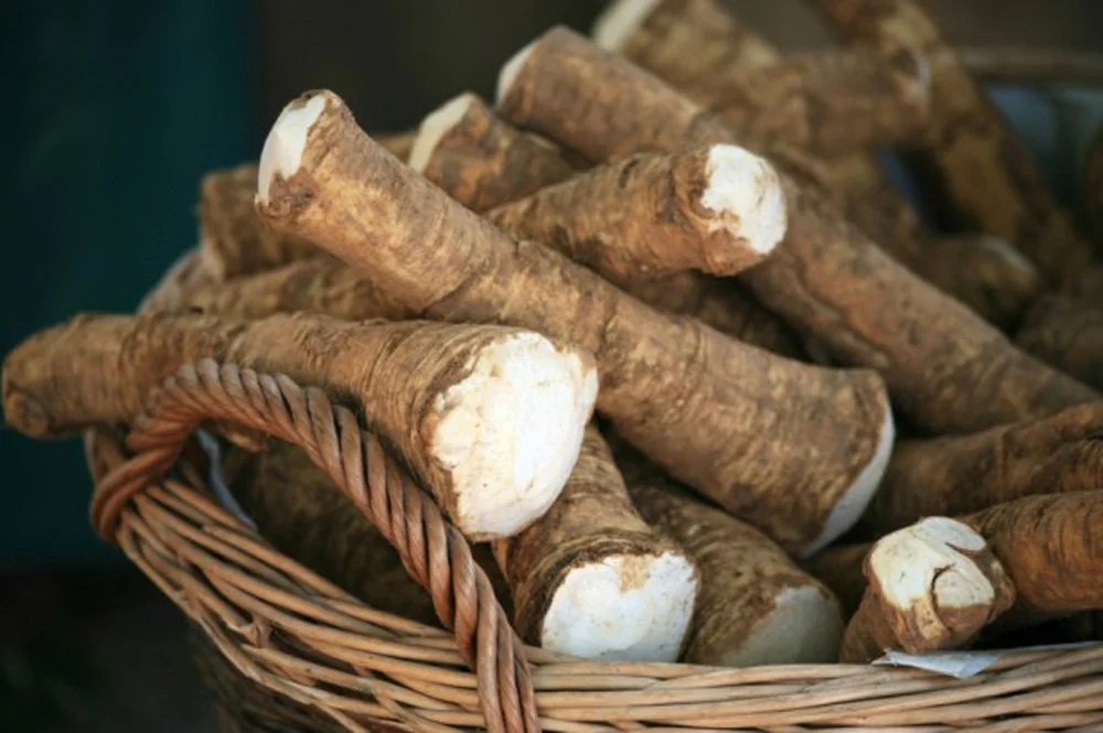Horseradish Root, Sauget, 6 ounces (Sold by Weight). Great for Planting, Seasoning or Sauces. A taste delight.