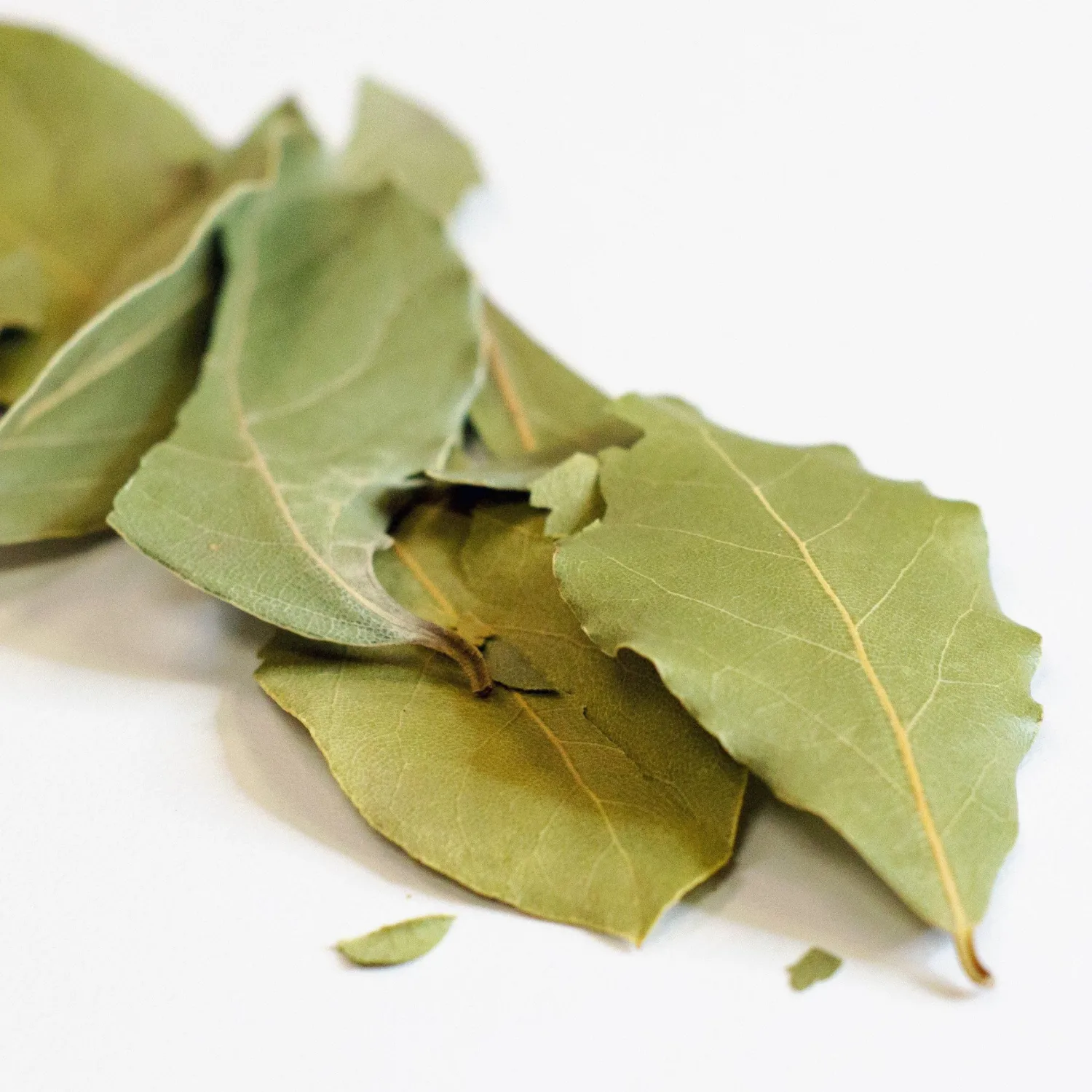 FreshJax Orgainc Whole Bay Leaves