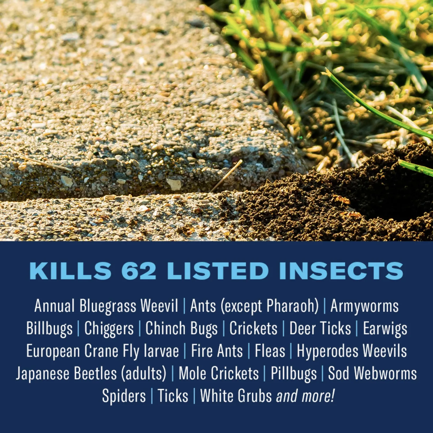 BioAdvanced Complete Insect Killer for Soil and Turf, Concentrate, 40 oz