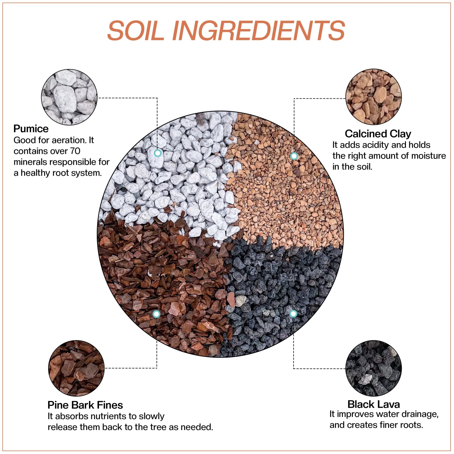 Bonsai Soil Purpose Mix | Fast Draining Pre Blend Plant Pumice, Lava, Calcined Clay, and Pine Bark ● Potting Mixed Plant Mixture by The Bonsai Supply (2 Quart Bag)