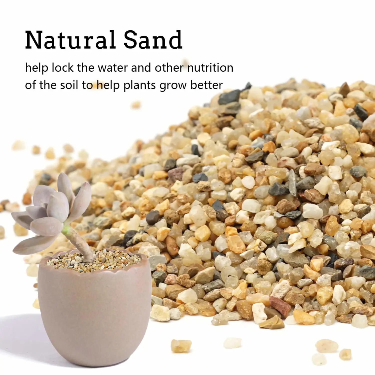 Coarse Sand Stone - Silica Sand for Plants, Soil Cover Succulents and Cactus Bonsai DIY Horticultural Sand, Decorative Sand for Vases Fillers,Terrarium, Fairy Garden,Natural Sand Top Dressing