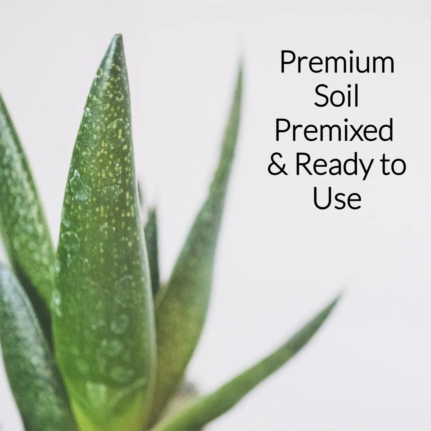 Professional Aloe Plant Soil | Premium All Purpose Blend | Large 2.2 Quarts | Ready to Use for Aloe, Cactus, Succulent Plants | Pinebark, Peat, Course Sand | Made in USA
