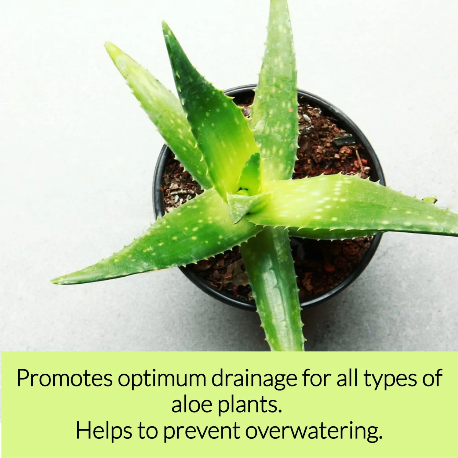 Professional Aloe Plant Soil | Premium All Purpose Blend | Large 2.2 Quarts | Ready to Use for Aloe, Cactus, Succulent Plants | Pinebark, Peat, Course Sand | Made in USA