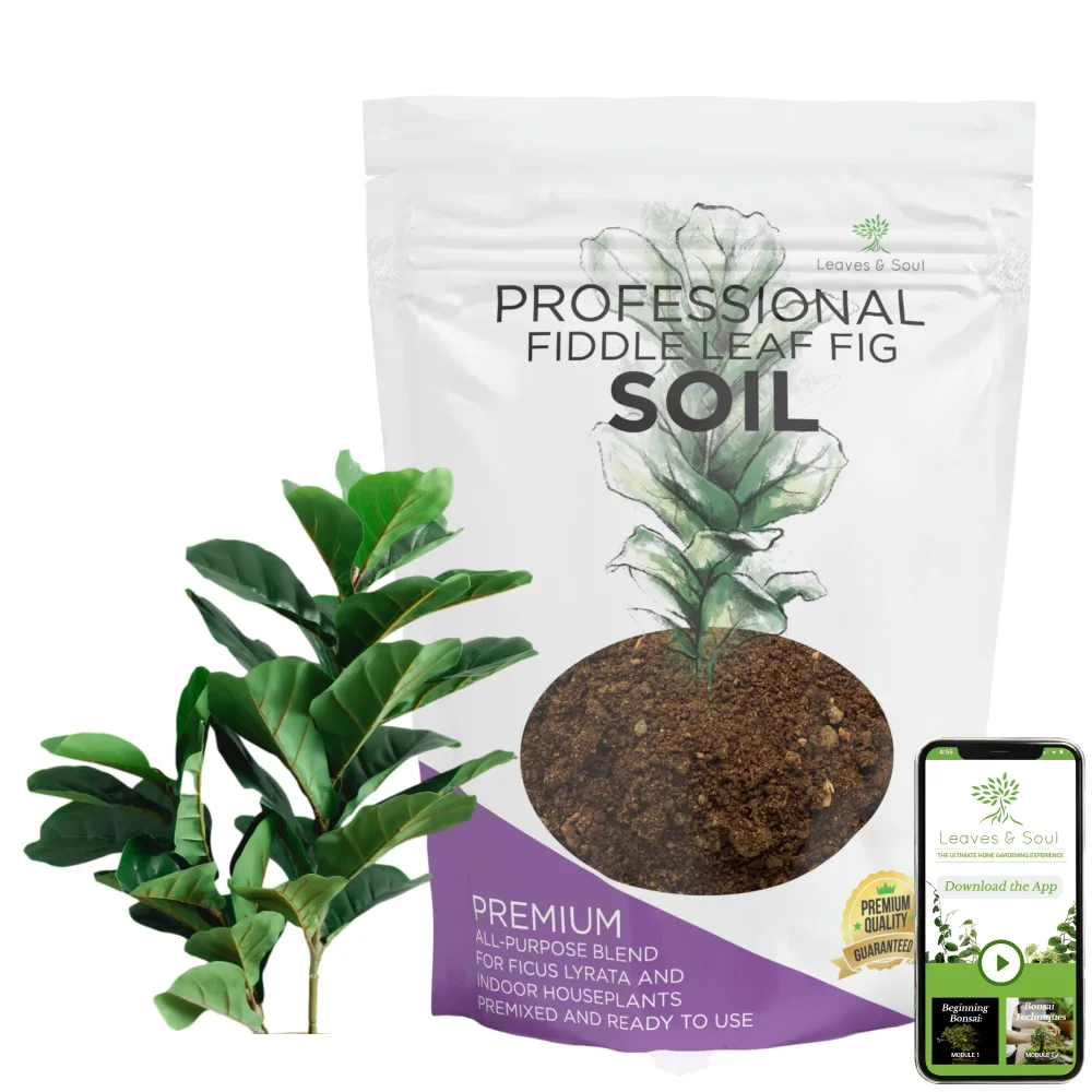 Large Bag Houseplant Fiddle Leaf Fig Soil Premium All Purpose Blend | Ready to Use for Indoor Houseplants | Peat, Sawdust, Course Sand and Pinebark | Extra Large 8.2 Quarts | Made in USA