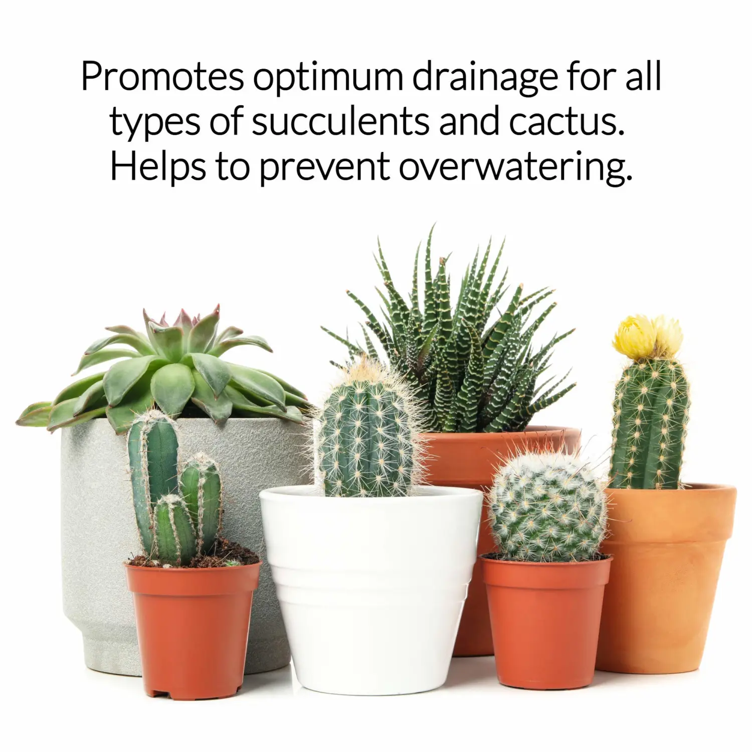 Succulent Soil Premium All Purpose Blend | Large 2.2 Quarts | Pre-Mixed Ready to Use for Cactus and Succulents | Canadian Peat, Course Sand, Pinebark | Made in USA