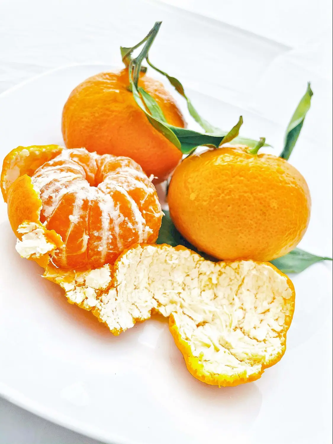 Fresh Satsuma Mandarin from California (4)