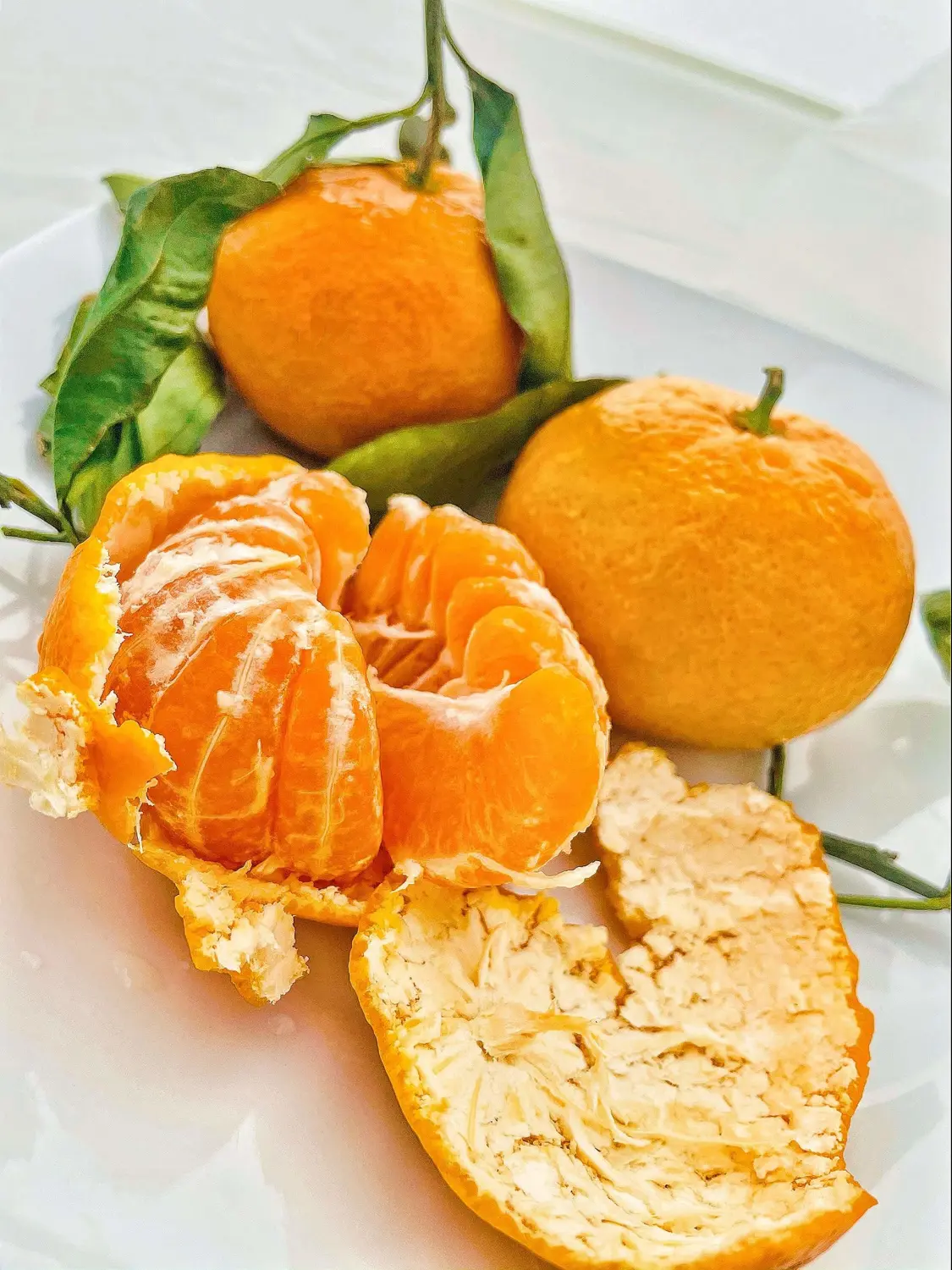 Fresh Satsuma Mandarin from California (4)