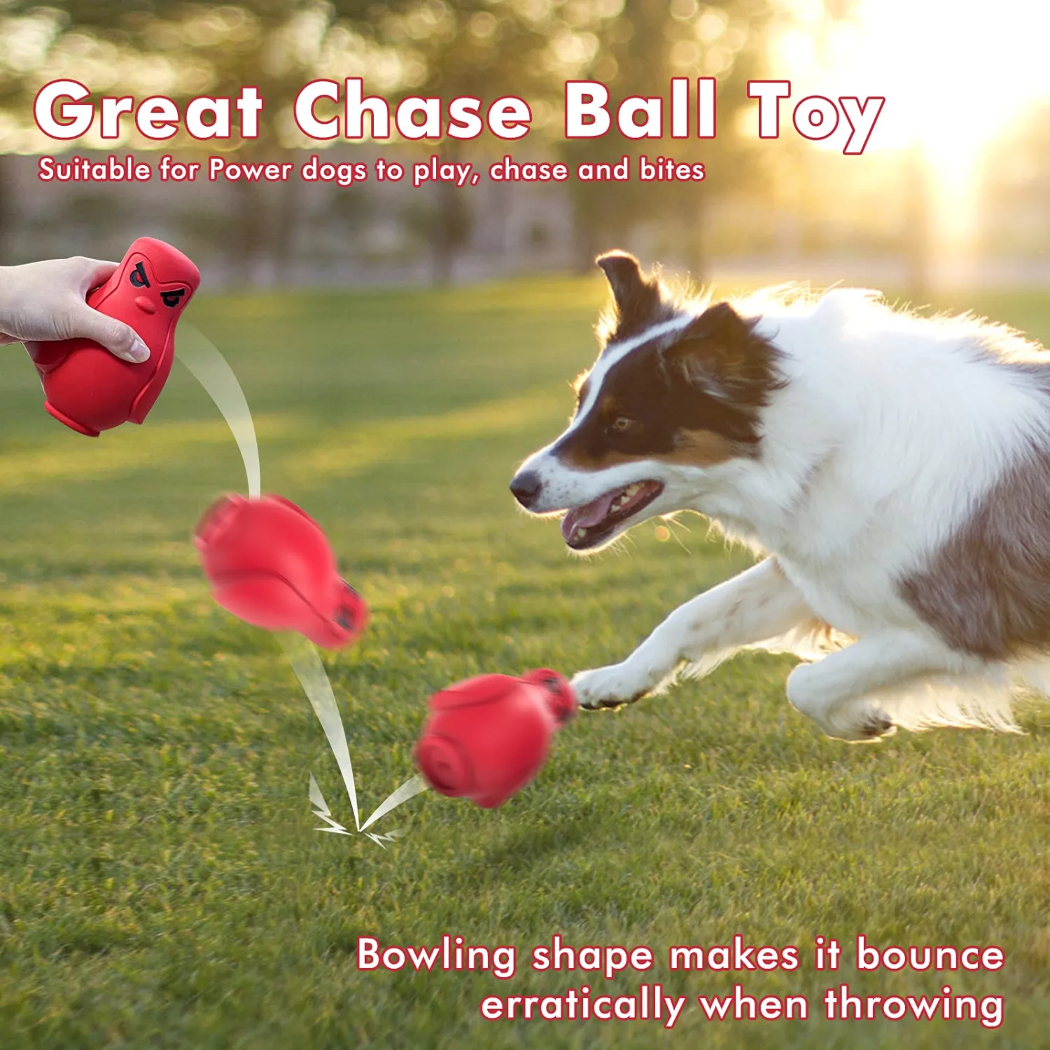Dog Toys, Dog Chew Toys for Small Medium Dogs, Dog Squeaky Toys, Puppy Birthday Dog Chirstmas Gifts