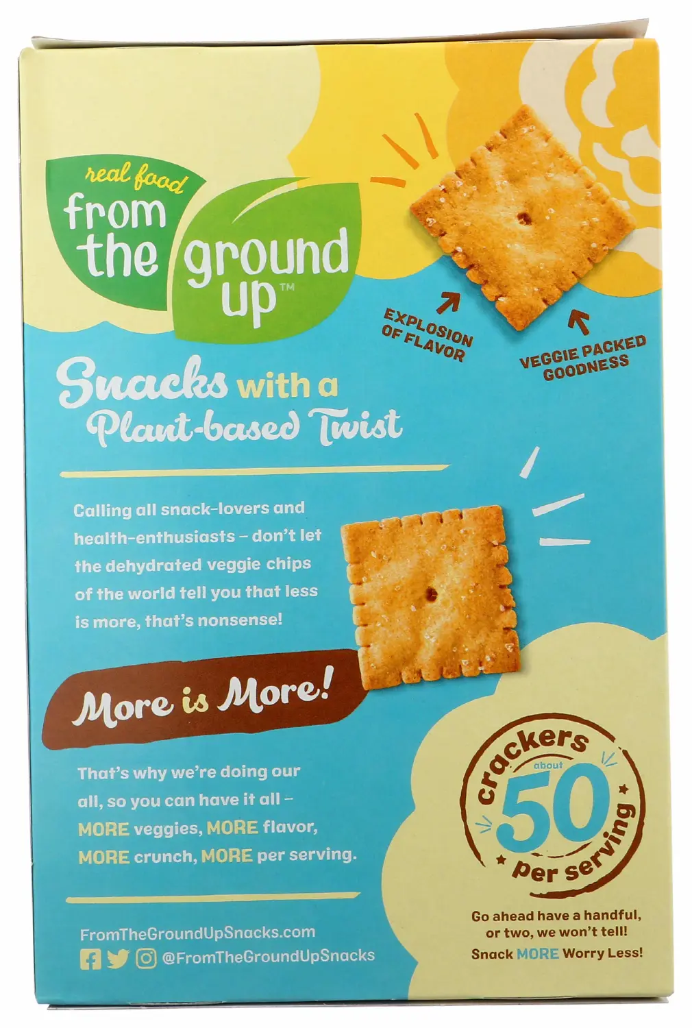 From The Ground Up, Cauliflower Crackers Sea Salt, 4 Ounce