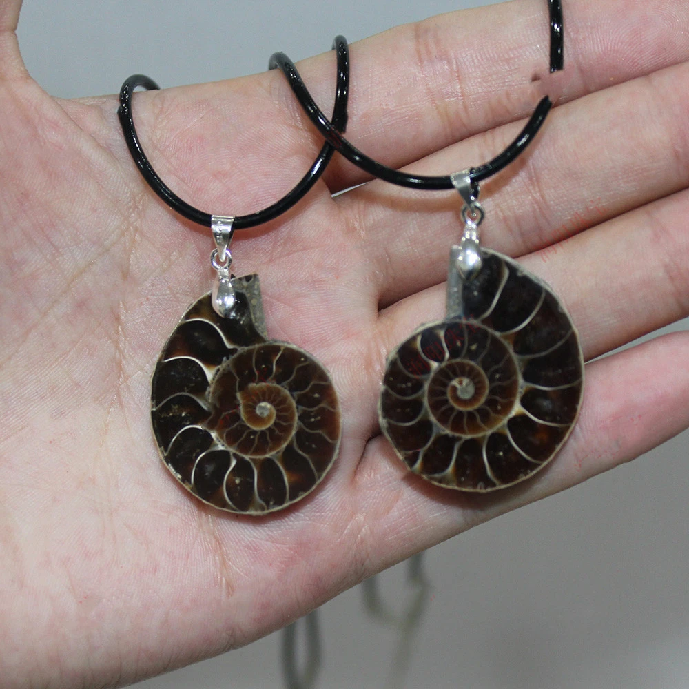 Natural Conch Fossil Pendant Necklace