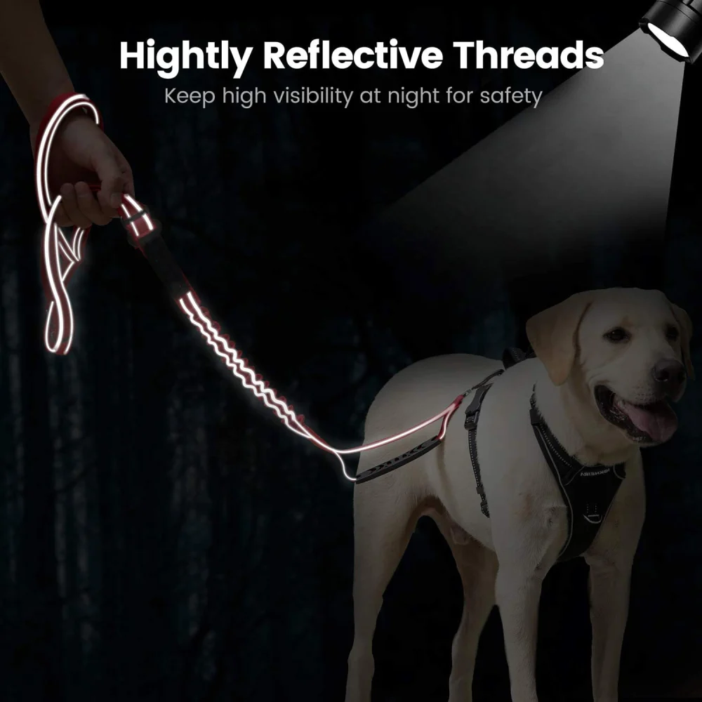 Going Out Explosion-proof Rush Dog Leash Elastic Reflection