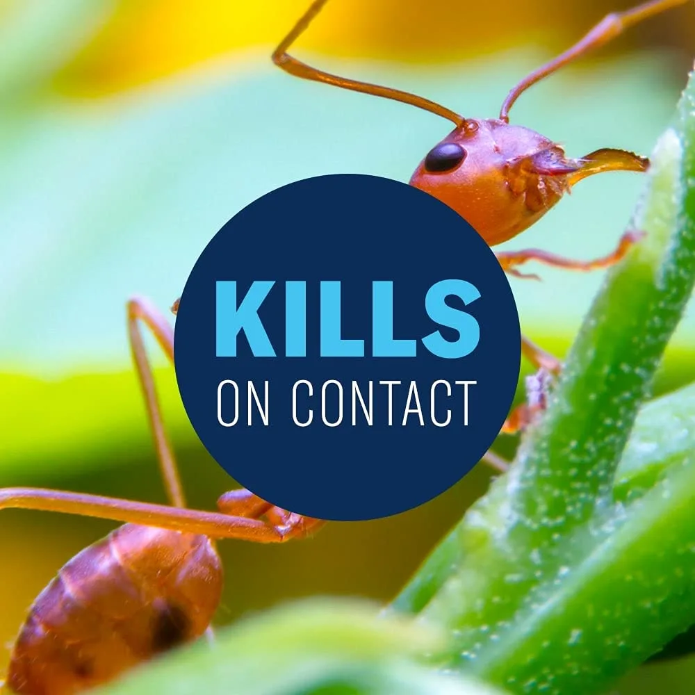 BioAdvanced 24 Hour Lawn Insect & Fire Ant Killer, Concentrate, 32 oz