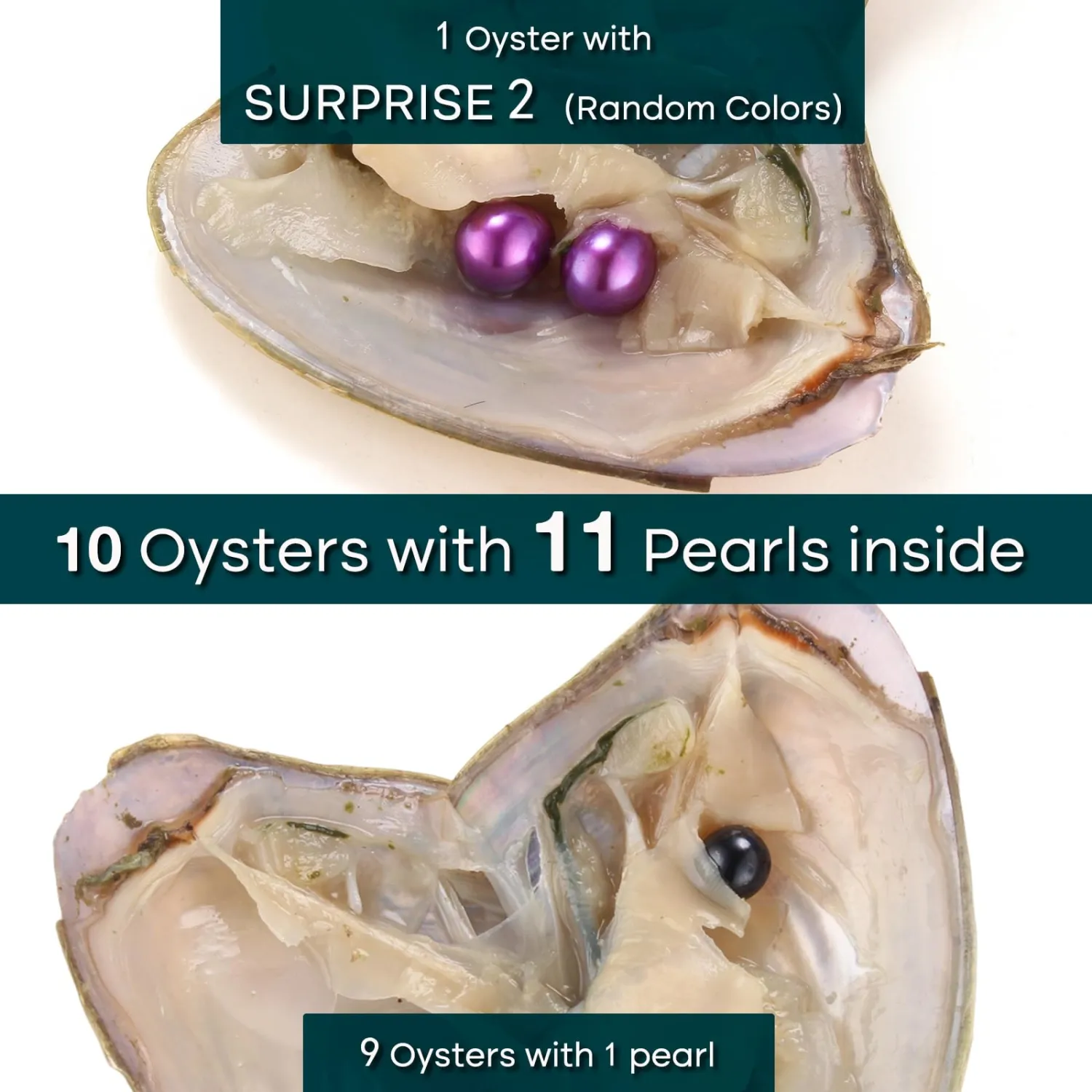 10PC Oyster with Round Pearl Inside Meaningful Color Freshwater Cultured Oyster Love Wish Pearls Beads for Jewelry Making Crafts Gifts(6-8mm, 9 Oysters with 1 Pearl, 1 Oyster with 2)