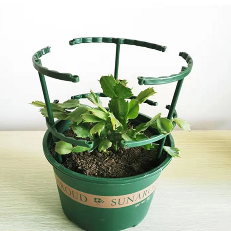 Plant Support Bonsai Tools Garden Stand Climbing Rattan Planter