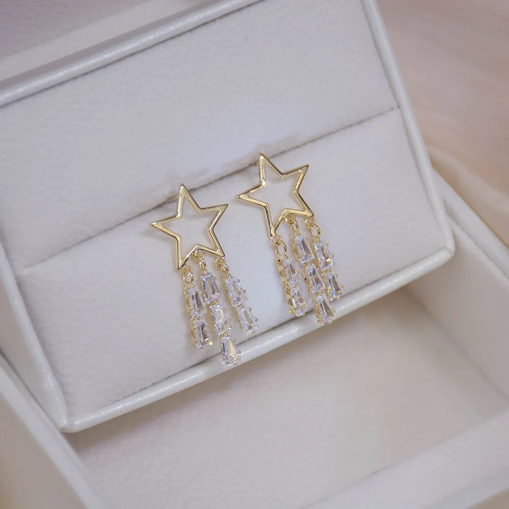 S925 Silver Needle Exquisite Zircon Tassel Earrings