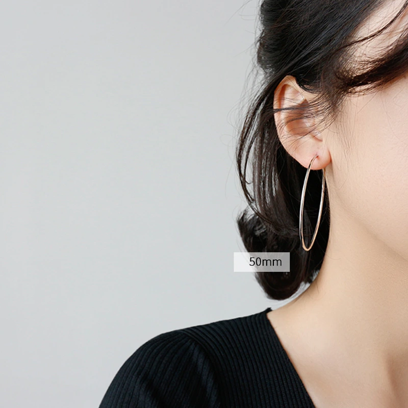 Women's Fashion Sterling Silver Earrings