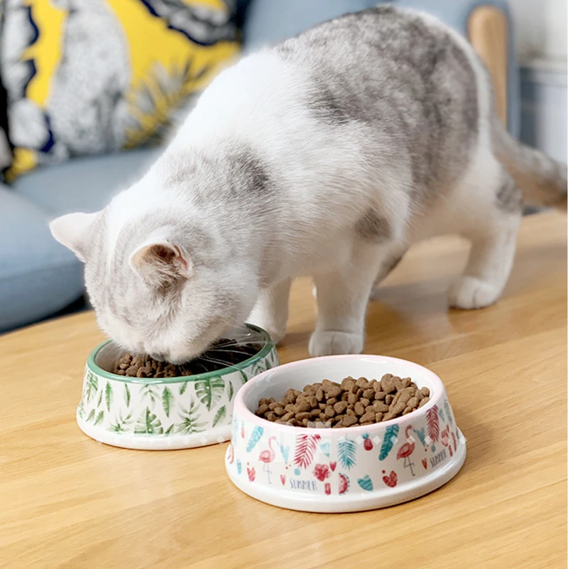 Cat Daily Necessities Pet Bowl Ceramics