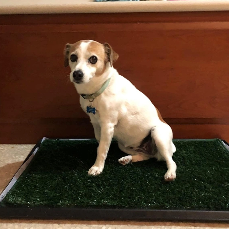 Dog Toilet Pee Separation Plastic Fake Turf