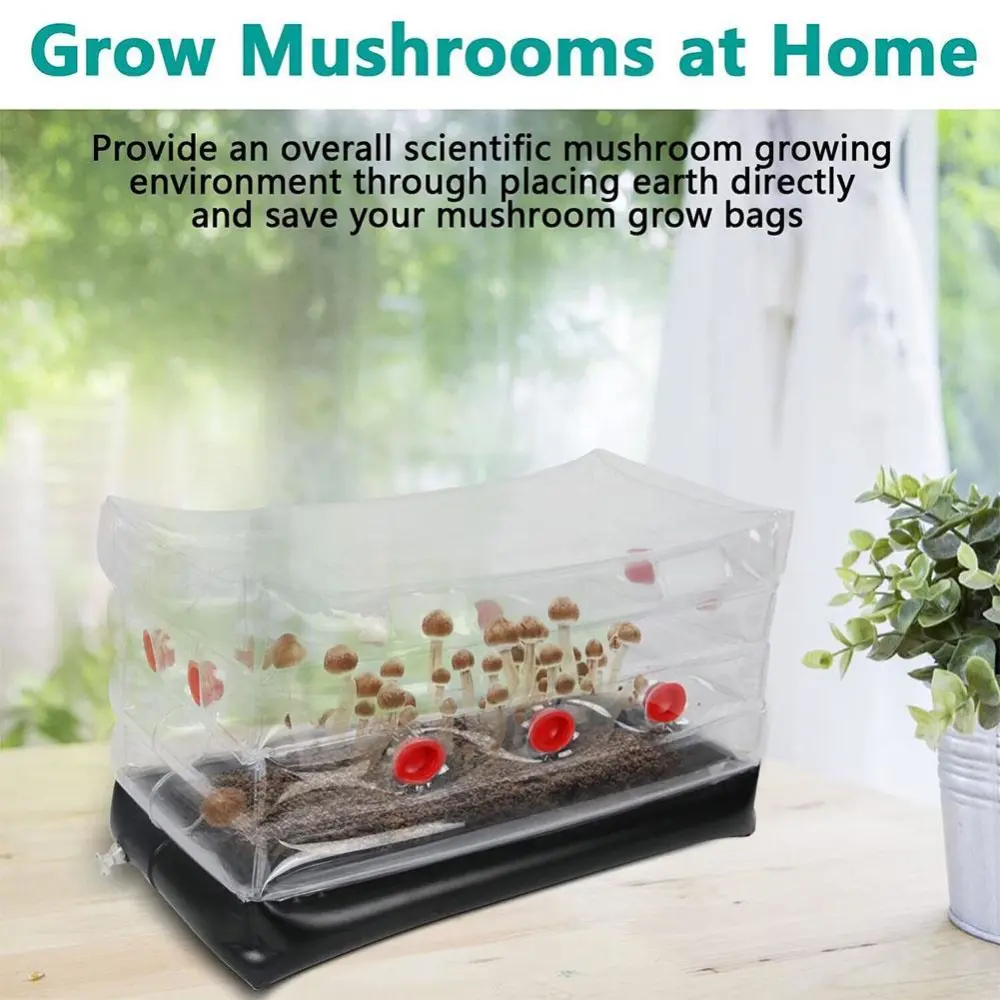 Portable Inflatable Mushroom Planting Box