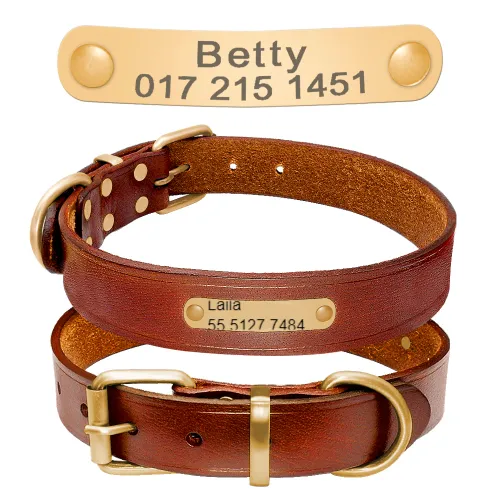 Customized Dog Collar for Laila