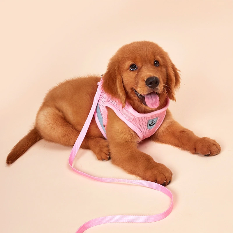 New pet harness
     dog outdoor leash
     Square breathable mesh Chest and back reflective at night